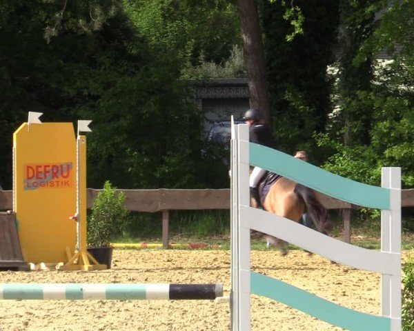 Reitturnier Wesel-Obrighoven 2025