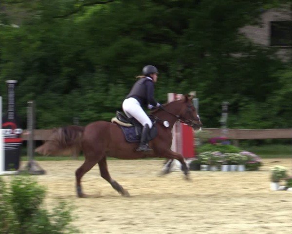 Reitturnier Wesel-Obrighoven 2025