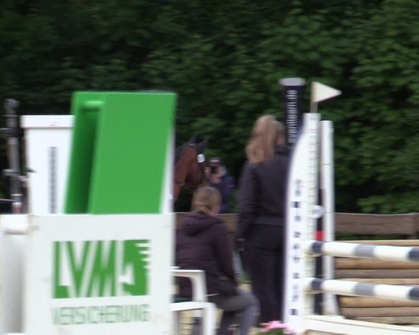 Reitturnier Wesel-Obrighoven 2025