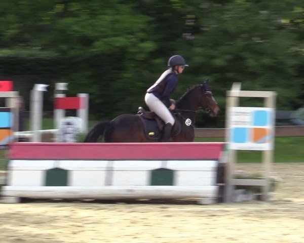 Reitturnier Wesel-Obrighoven 2025