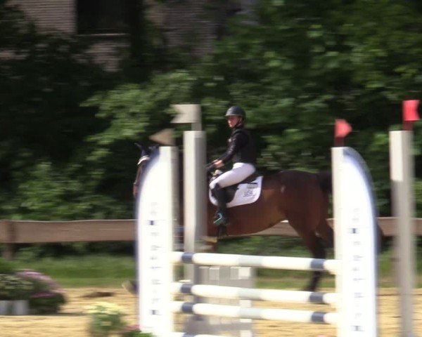 Reitturnier Wesel-Obrighoven 2025