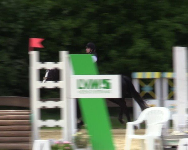 Reitturnier Wesel-Obrighoven 2025