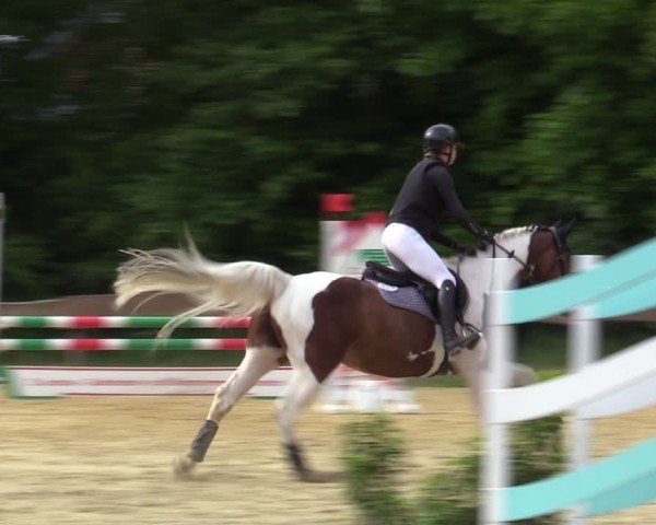 Reitturnier Wesel-Obrighoven 2025