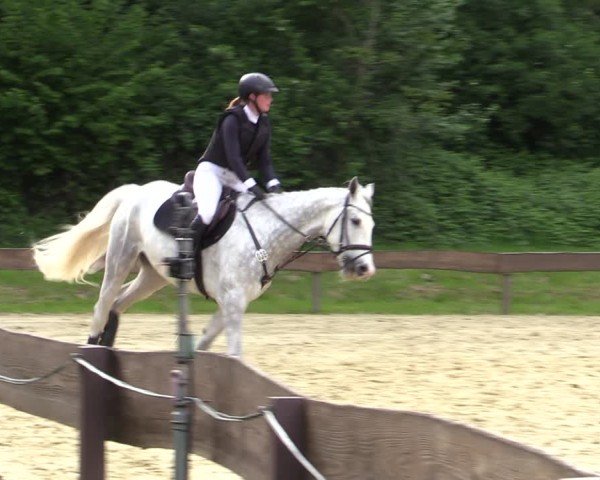 Reitturnier Wesel-Obrighoven 2025