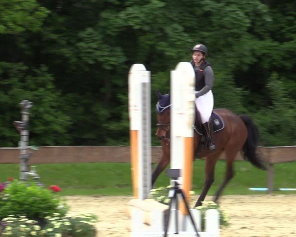 Reitturnier Wesel-Obrighoven 2025