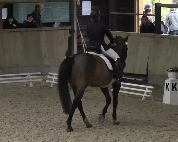 Hallenturnier Heidelberg-Kirchheim 2014