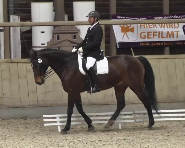 Hallenturnier Heidelberg-Kirchheim 2014