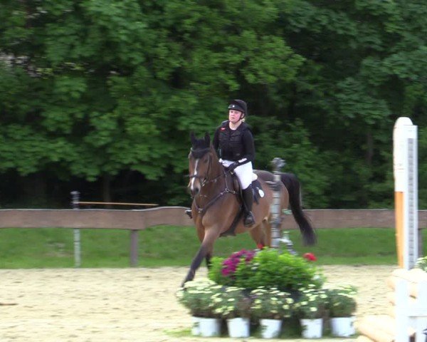 Reitturnier Wesel-Obrighoven 2025