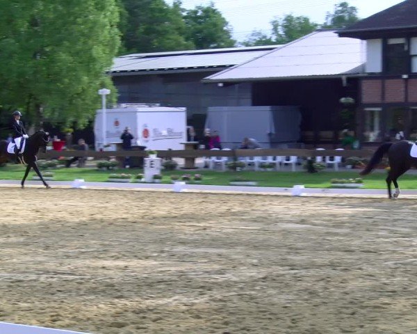 Reitturnier Wesel-Obrighoven 2025