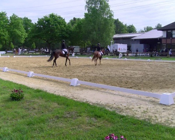 Reitturnier Wesel-Obrighoven 2025