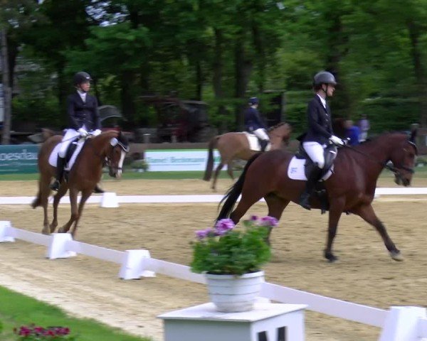 Reitturnier Wesel-Obrighoven 2025
