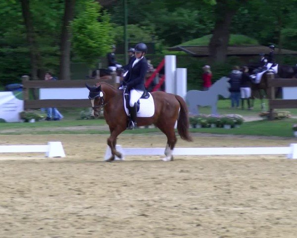 Reitturnier Wesel-Obrighoven 2025