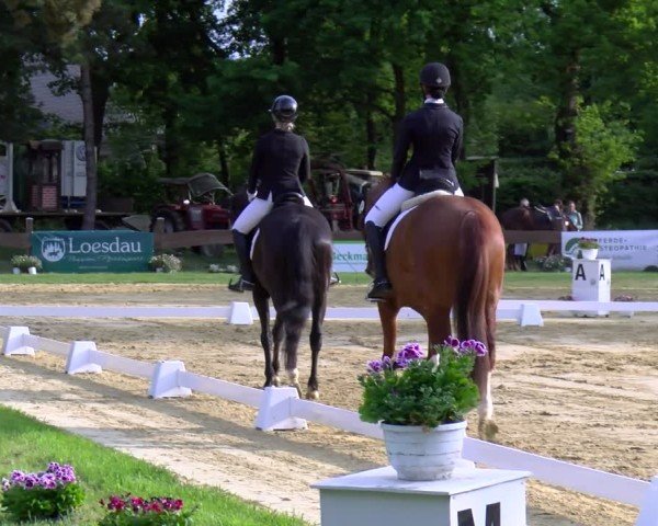 Reitturnier Wesel-Obrighoven 2025
