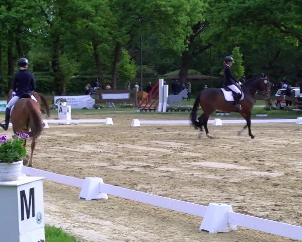 Reitturnier Wesel-Obrighoven 2025