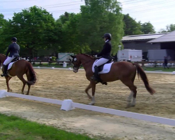 Reitturnier Wesel-Obrighoven 2025