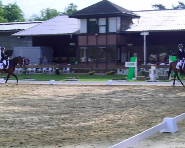 Reitturnier Wesel-Obrighoven 2025