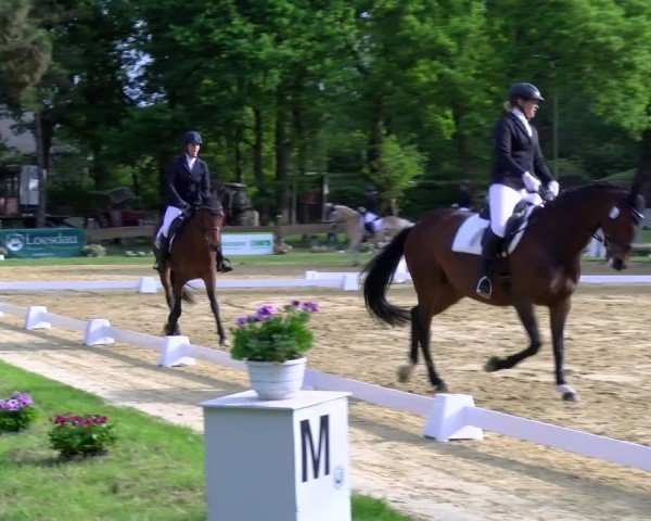 Reitturnier Wesel-Obrighoven 2025