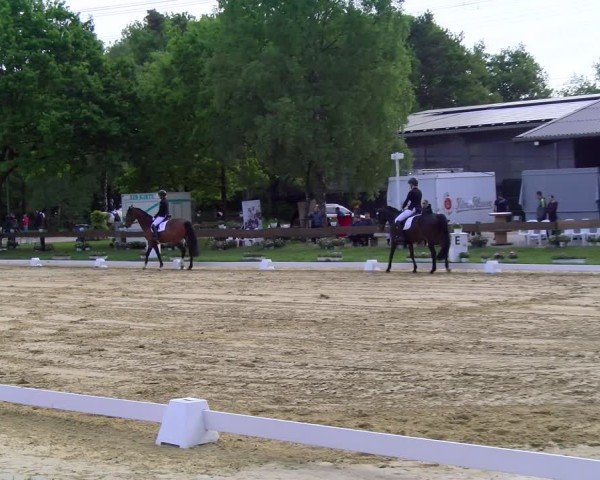 Reitturnier Wesel-Obrighoven 2025