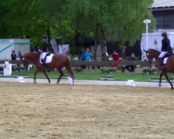 Reitturnier Wesel-Obrighoven 2025