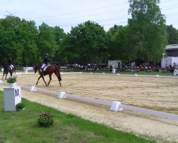 Reitturnier Wesel-Obrighoven 2025