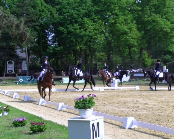 Reitturnier Wesel-Obrighoven 2025
