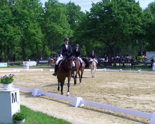 Reitturnier Wesel-Obrighoven 2025
