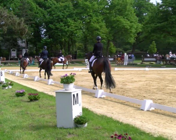 Reitturnier Wesel-Obrighoven 2025