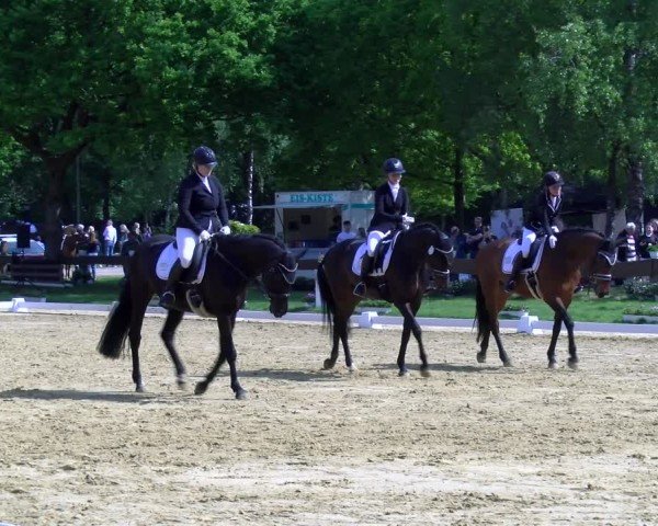Reitturnier Wesel-Obrighoven 2025