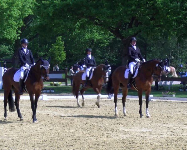 Reitturnier Wesel-Obrighoven 2025