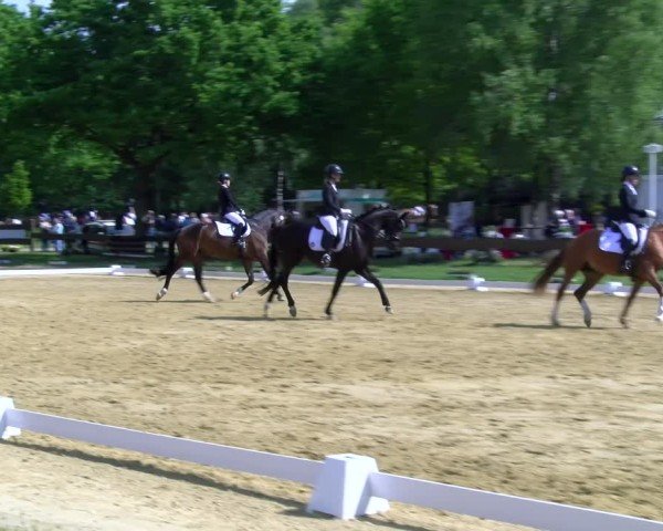 Reitturnier Wesel-Obrighoven 2025