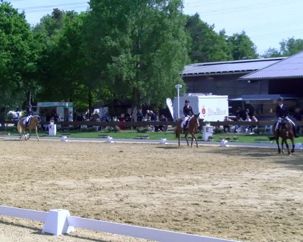 Reitturnier Wesel-Obrighoven 2025