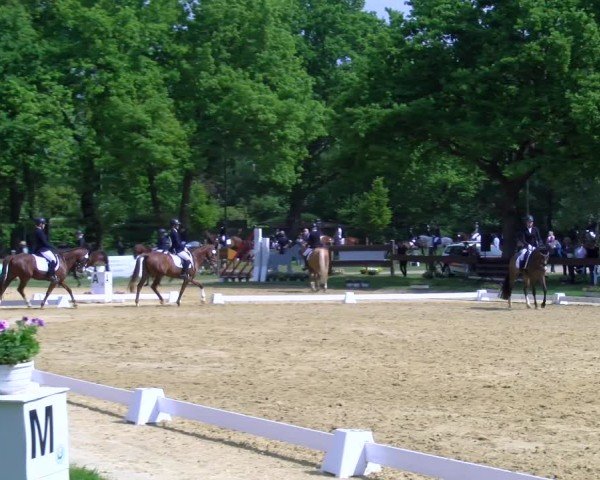Reitturnier Wesel-Obrighoven 2025