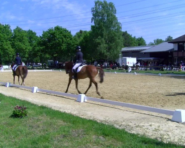 Reitturnier Wesel-Obrighoven 2025