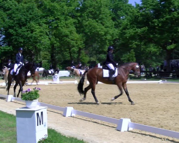 Reitturnier Wesel-Obrighoven 2025