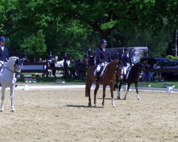 Reitturnier Wesel-Obrighoven 2025