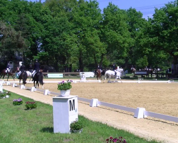 Reitturnier Wesel-Obrighoven 2025