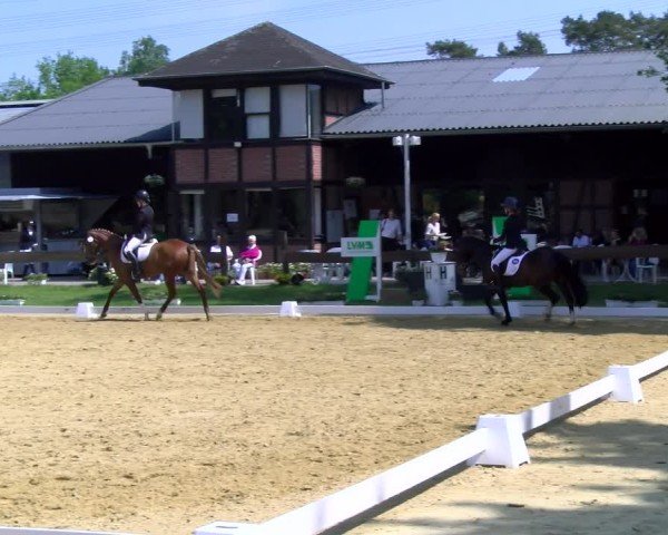 Reitturnier Wesel-Obrighoven 2025