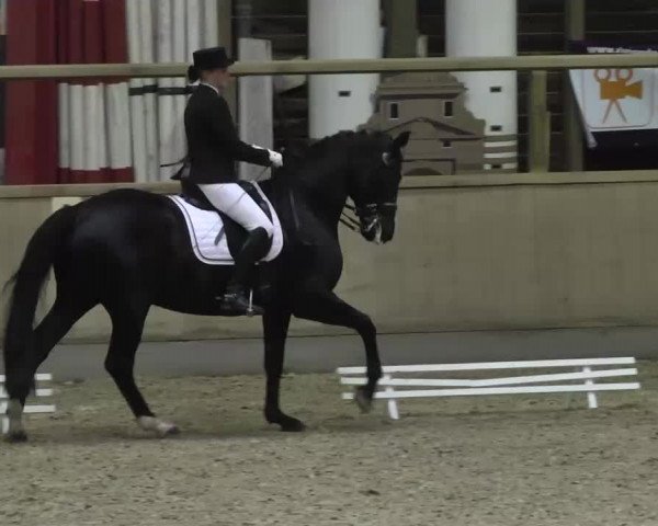 Hallenturnier Heidelberg-Kirchheim 2014