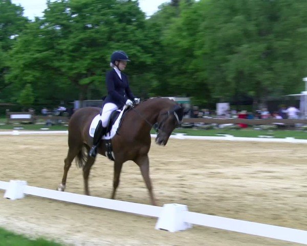 Reitturnier Wesel-Obrighoven 2025