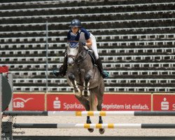 jumper Colssini BTH (Holsteiner, 2016, from Colman)