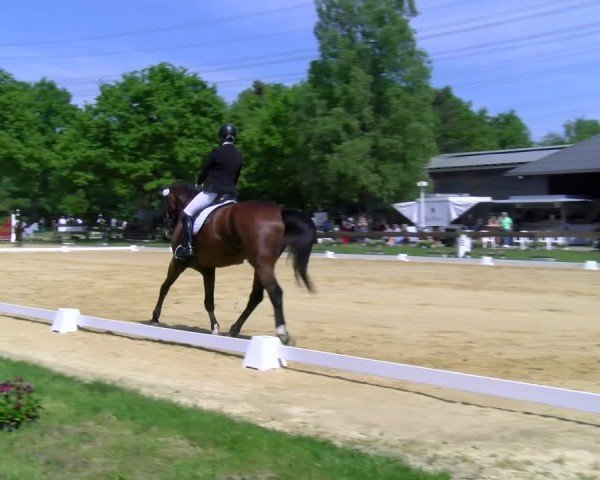 Reitturnier Wesel-Obrighoven 2025