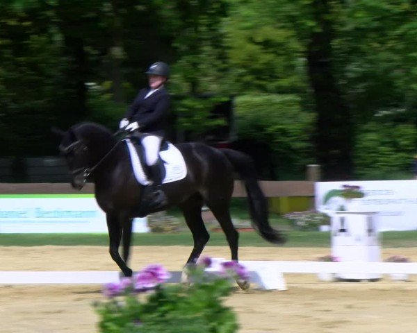 Reitturnier Wesel-Obrighoven 2025