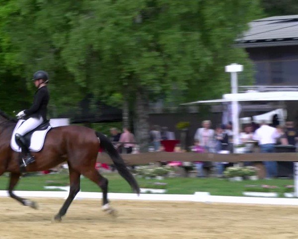 Reitturnier Wesel-Obrighoven 2025