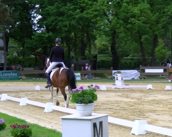 Reitturnier Wesel-Obrighoven 2025