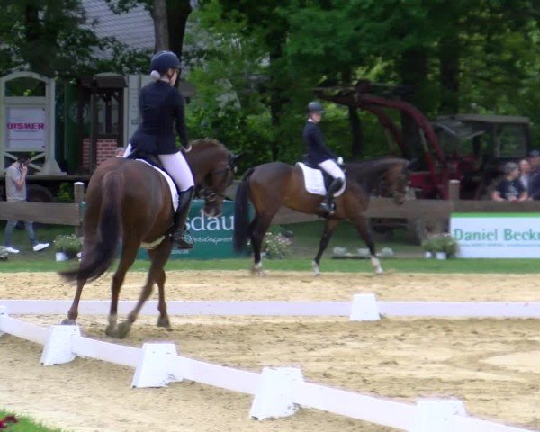 Reitturnier Wesel-Obrighoven 2025