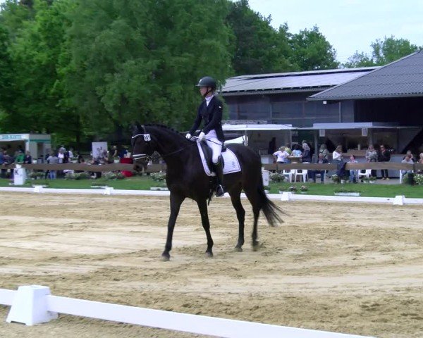 Reitturnier Wesel-Obrighoven 2025