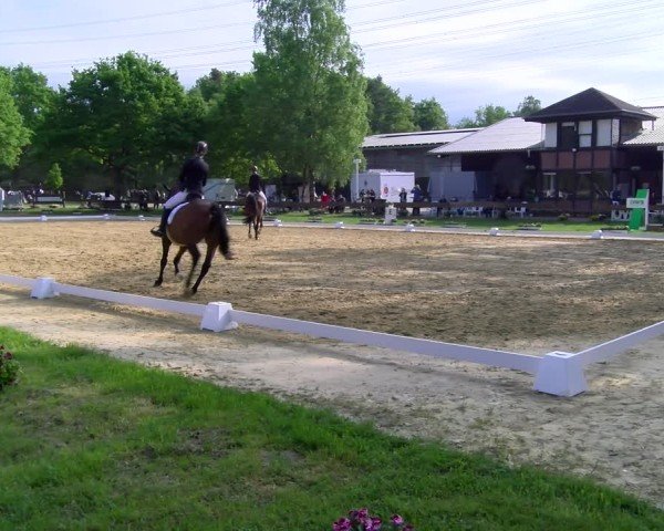 Reitturnier Wesel-Obrighoven 2025