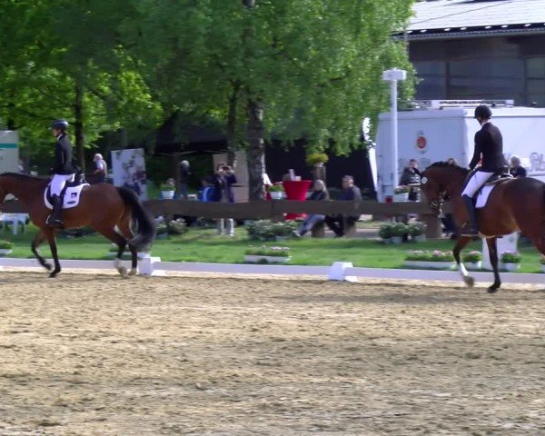 Reitturnier Wesel-Obrighoven 2025