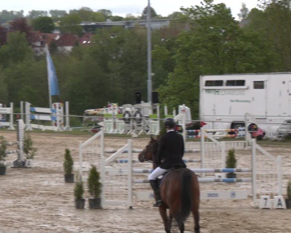 Reitturnier Büren 2025