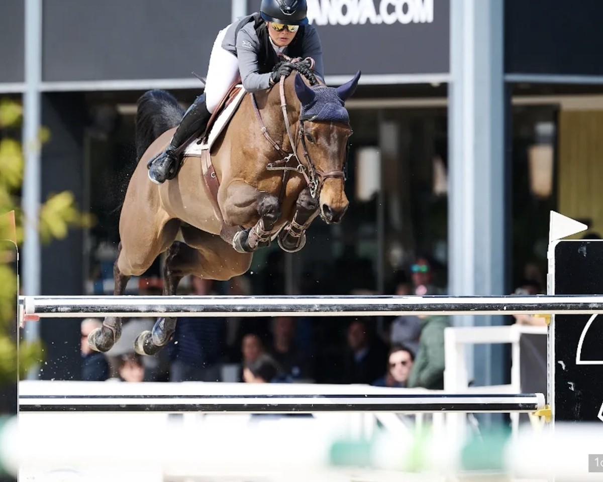 Springpferd H&M Bahia (Dänisches Warmblut, 2014, von Baloubet du Rouet)
